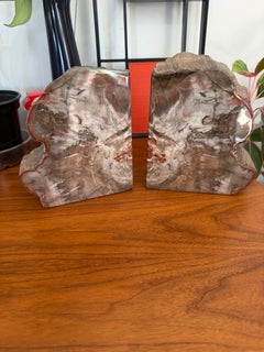 Petrified Wood Bookends with Antique Carved Design Large