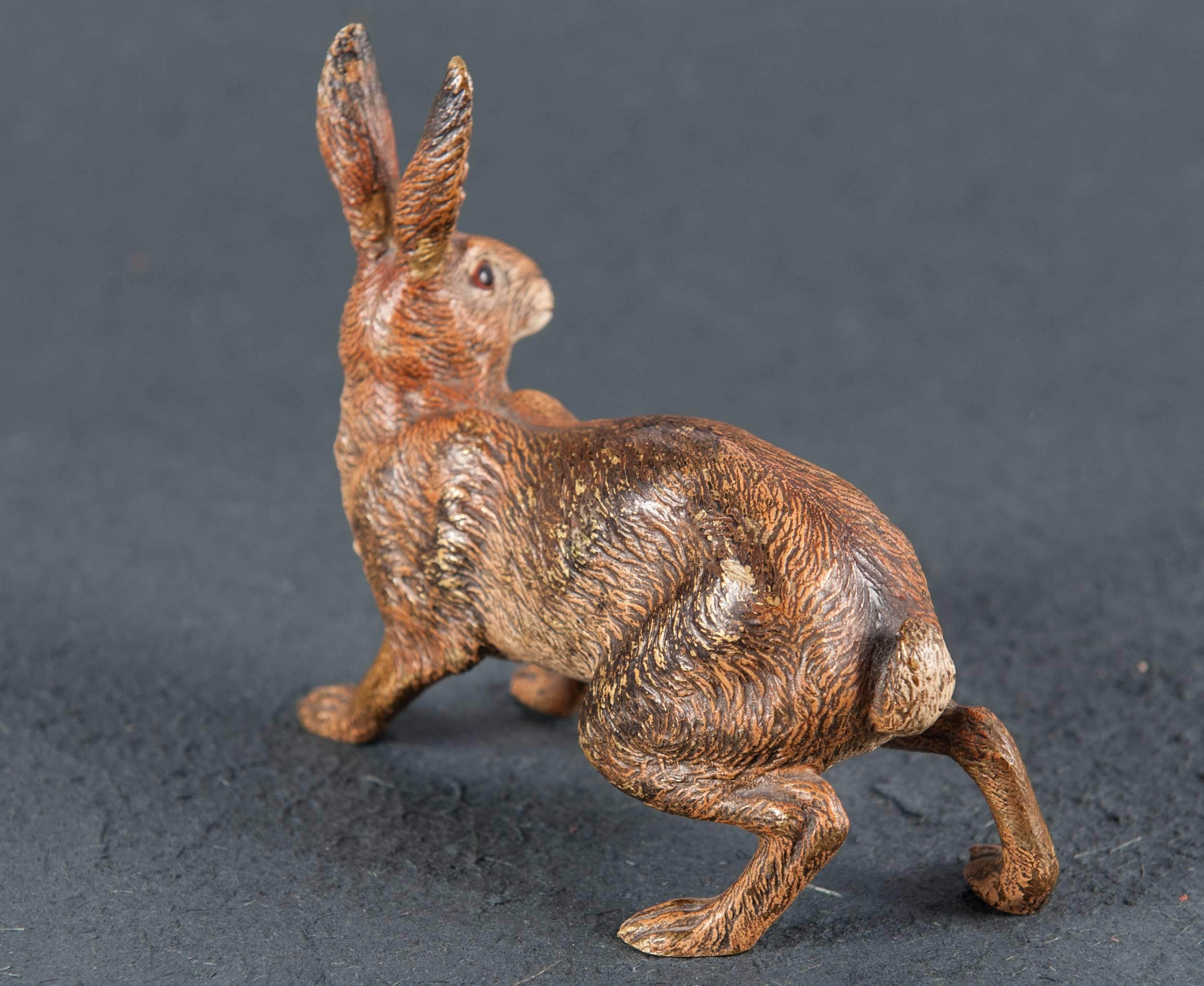 Nice and Rare Vienna Bronze Hare Signed Bergman, circa 1900 In Good Condition In Amsterdam, Noord Holland