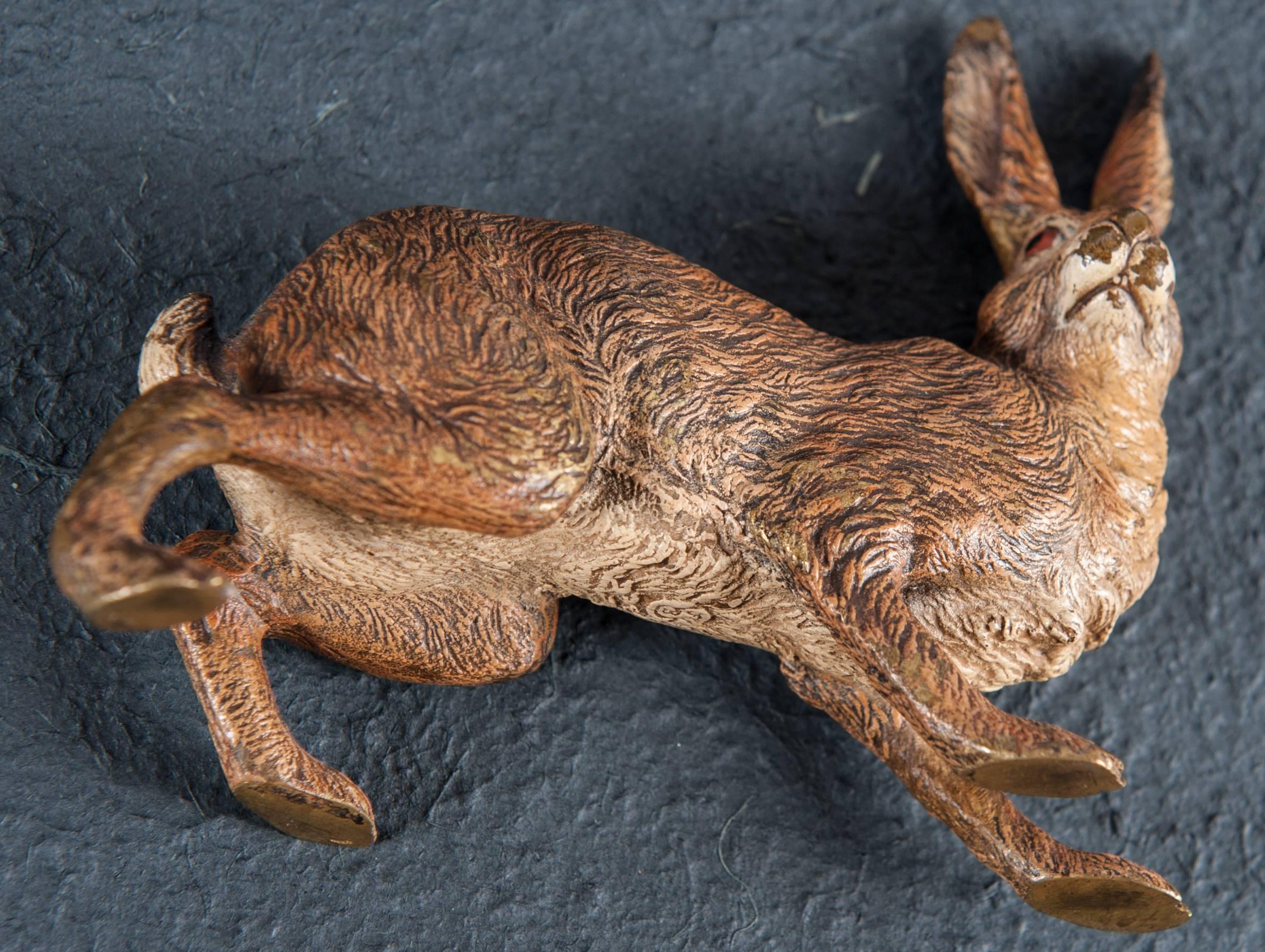 20th Century Nice and Rare Vienna Bronze Hare Signed Bergman, circa 1900