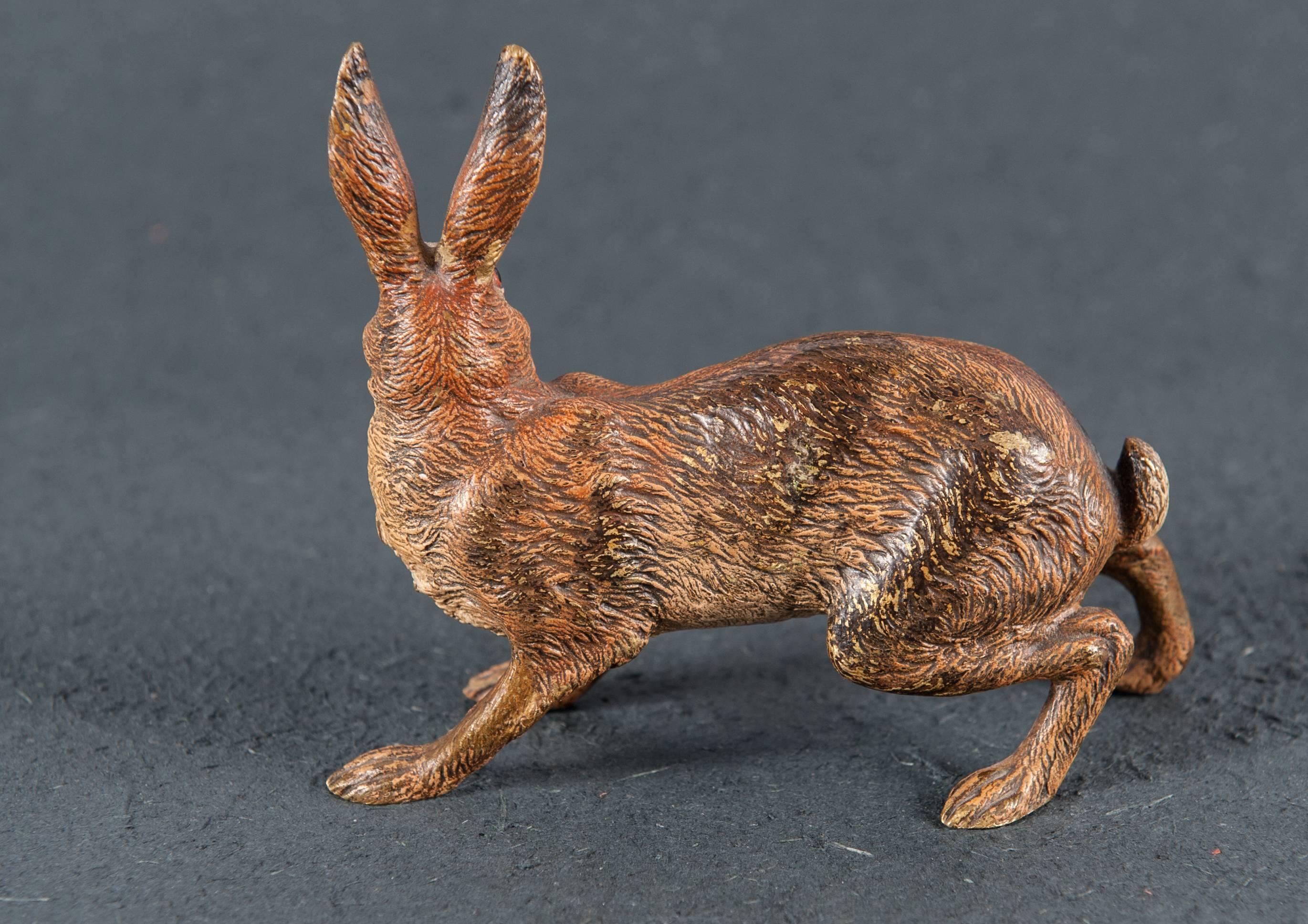 Nice and Rare Vienna Bronze Hare Signed Bergman, circa 1900 3