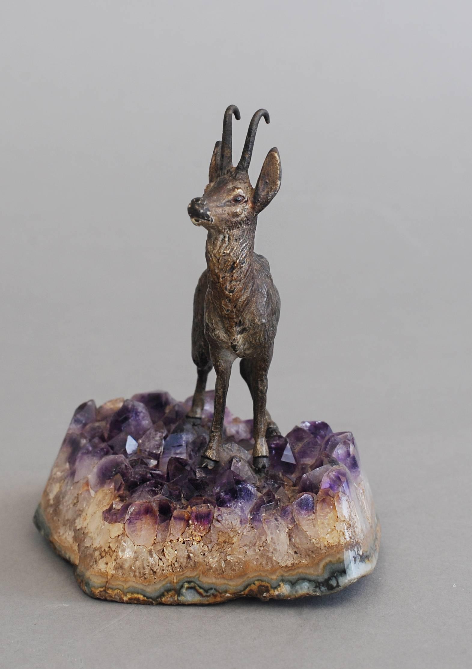 Belle Époque Very Realistic and Unusual So Called Chamois Deer, circa 1900 For Sale