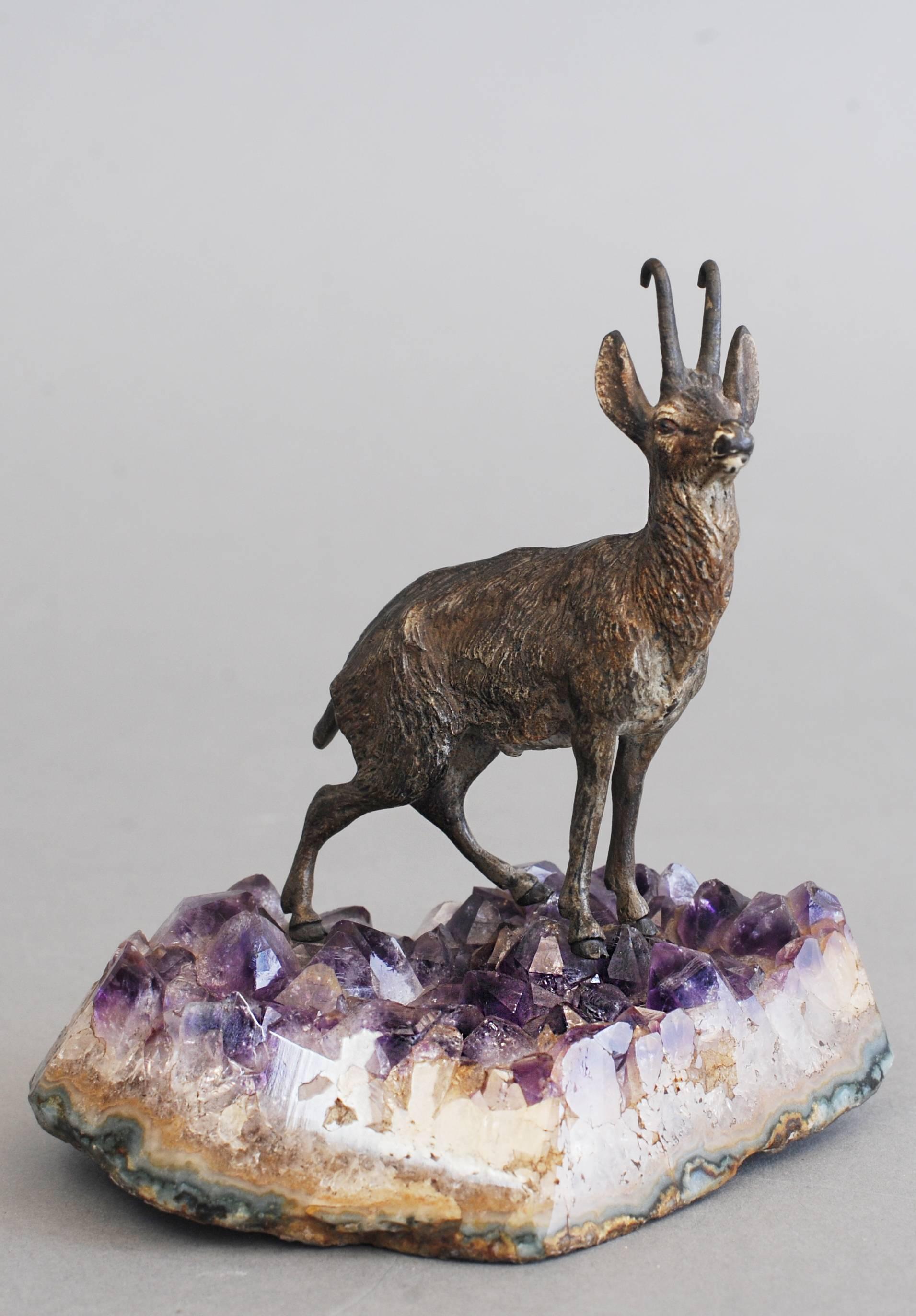 A very realistic and unusual so called chamois deer Vienna bronze-mounted on an beautiful, well figured amethyst crystal base (Amethyst is also a stone of prosperity based on it’s deep and glorious color – Royal Purple!)