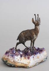 Very Realistic and Unusual So Called Chamois Deer, circa 1900