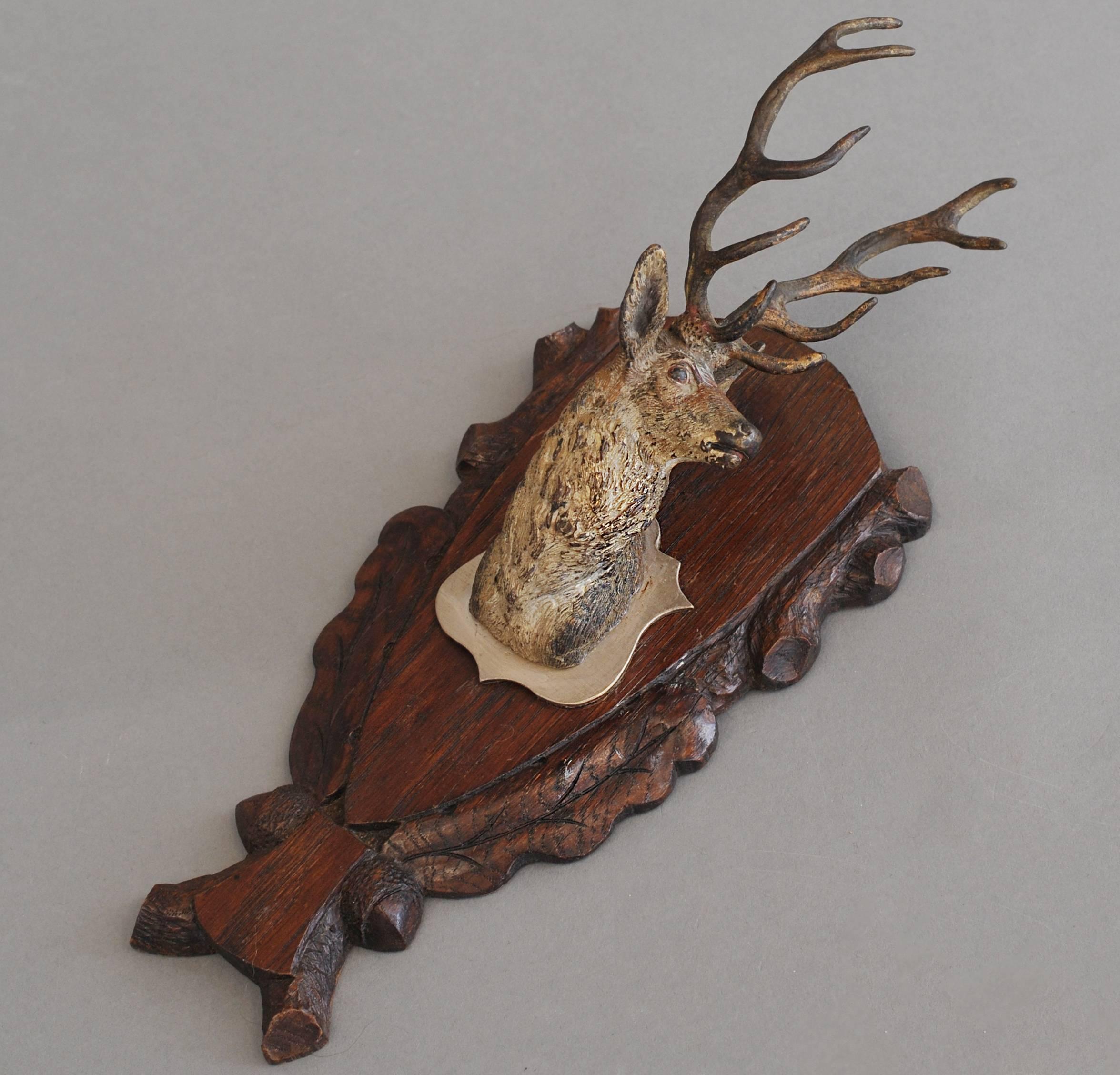 A nice head of a stag or a deer Vienna bronze, circa 1900. Probably used as a hunting trophy mounted on a wooden wall bracket.
