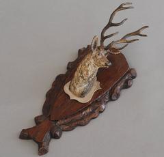 Nice Head of a Stag or a Deer Vienna Bronze, circa 1900