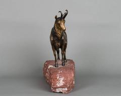 Very Realistic, Detailed Multicolored Vienna Bronze of Mountain Goat
