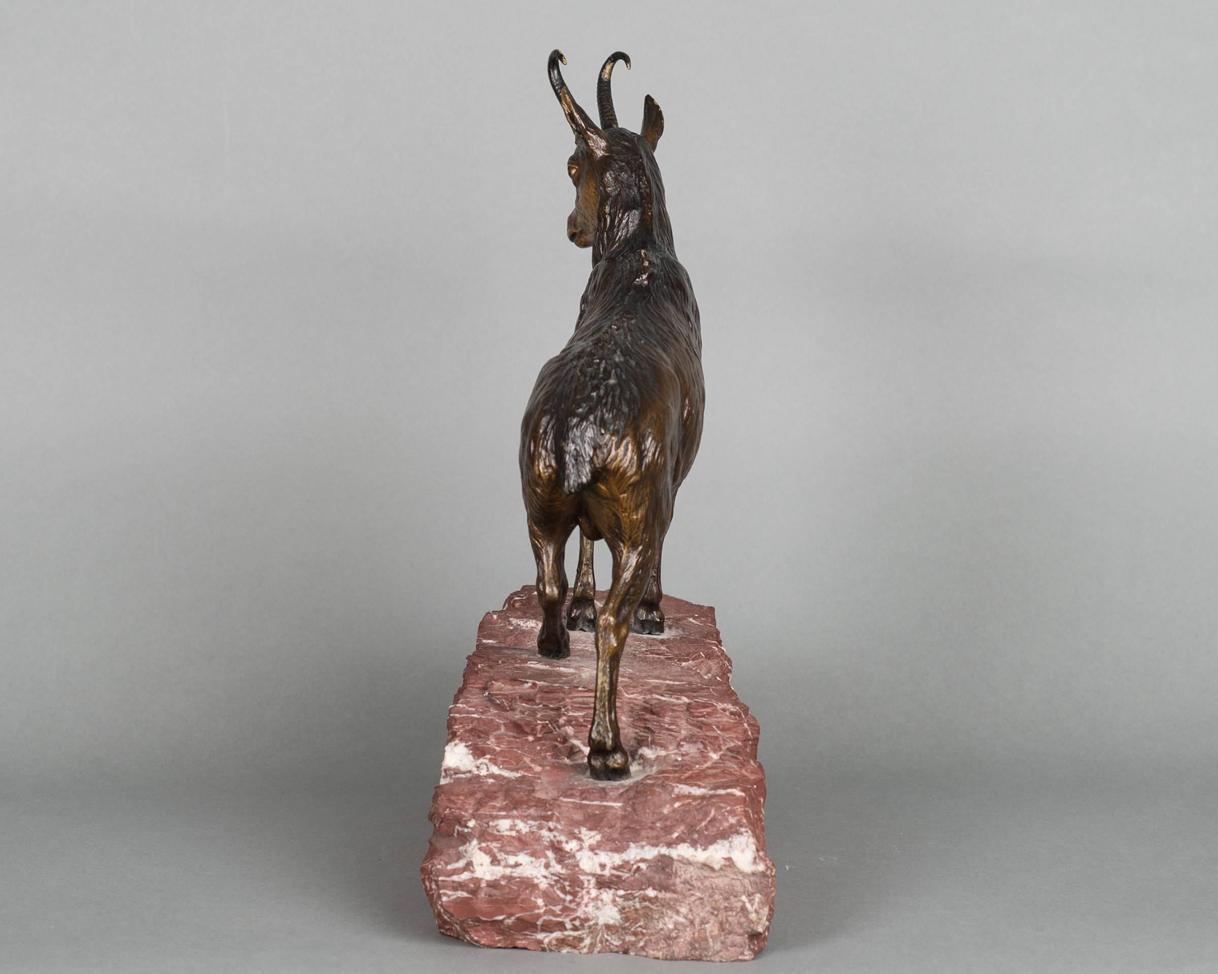 Art Nouveau Very Realistic, Detailed Multicolored Vienna Bronze of Mountain Goat For Sale