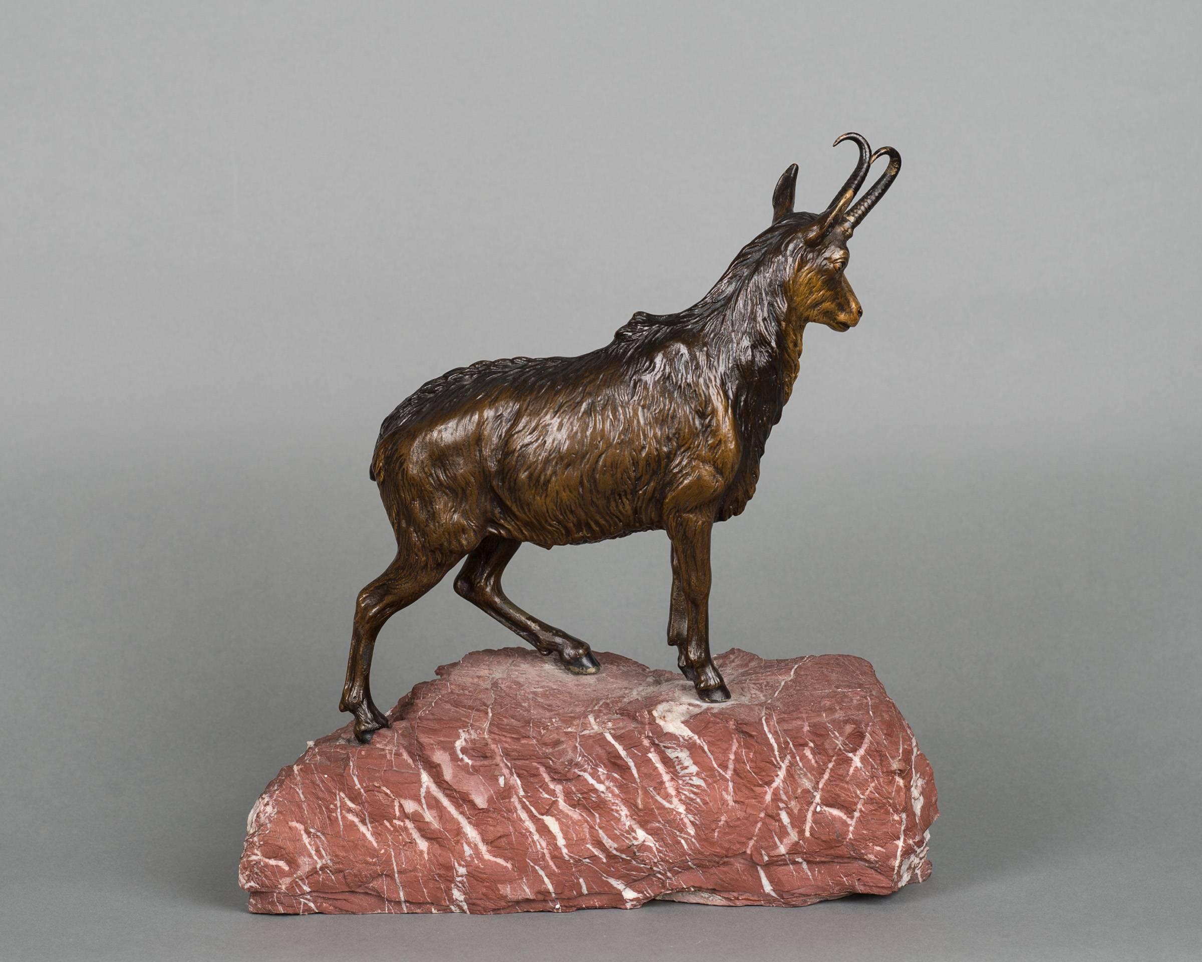 Austrian Very Realistic, Detailed Multicolored Vienna Bronze of Mountain Goat For Sale
