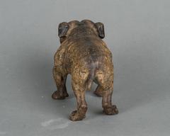 Beautiful Vienna Cold Painted Bronze of a Pug Dog, circa 1890
