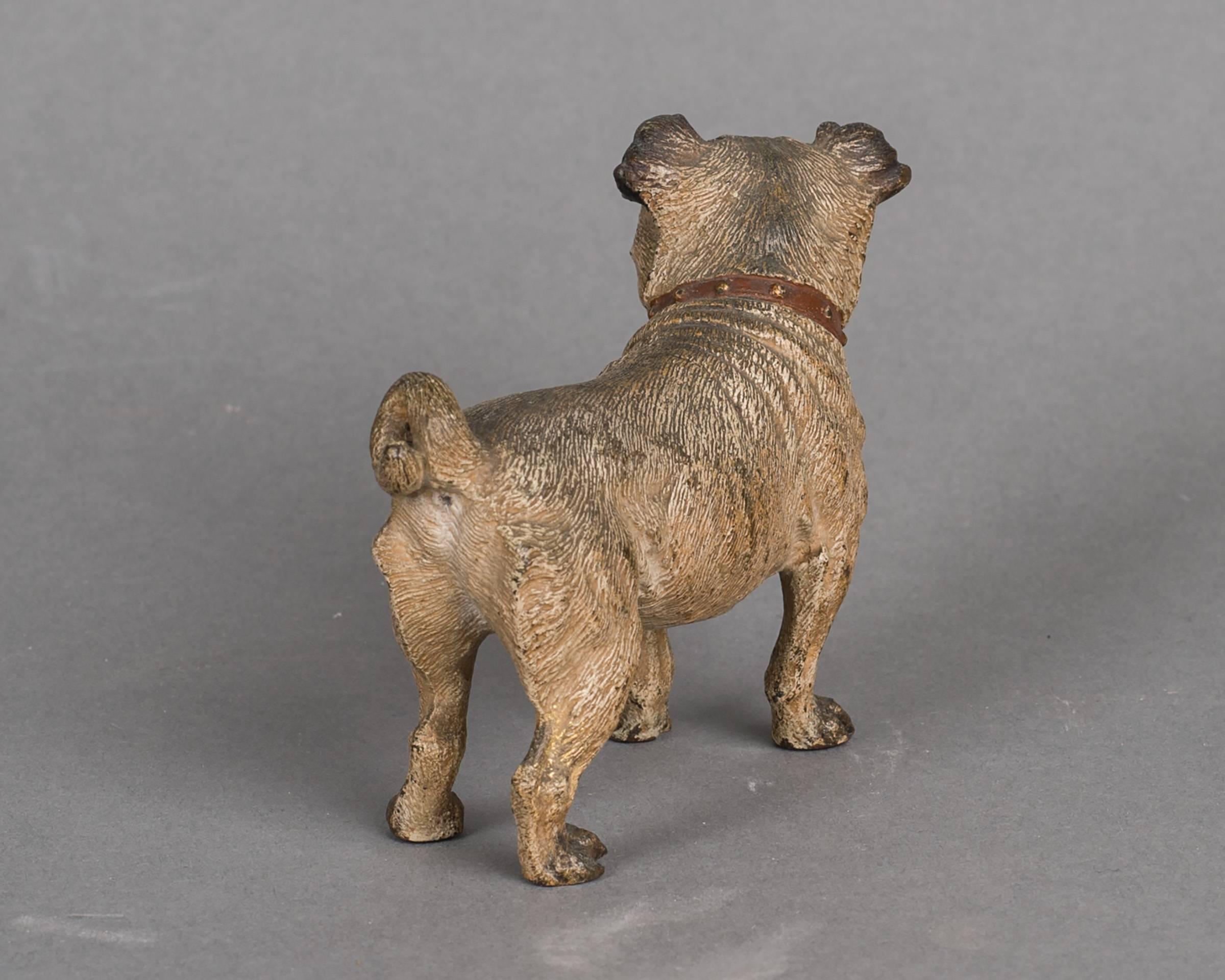 Art Nouveau Beautiful Vienna Cold Painted Bronze of a Pug Dog, circa 1890 For Sale
