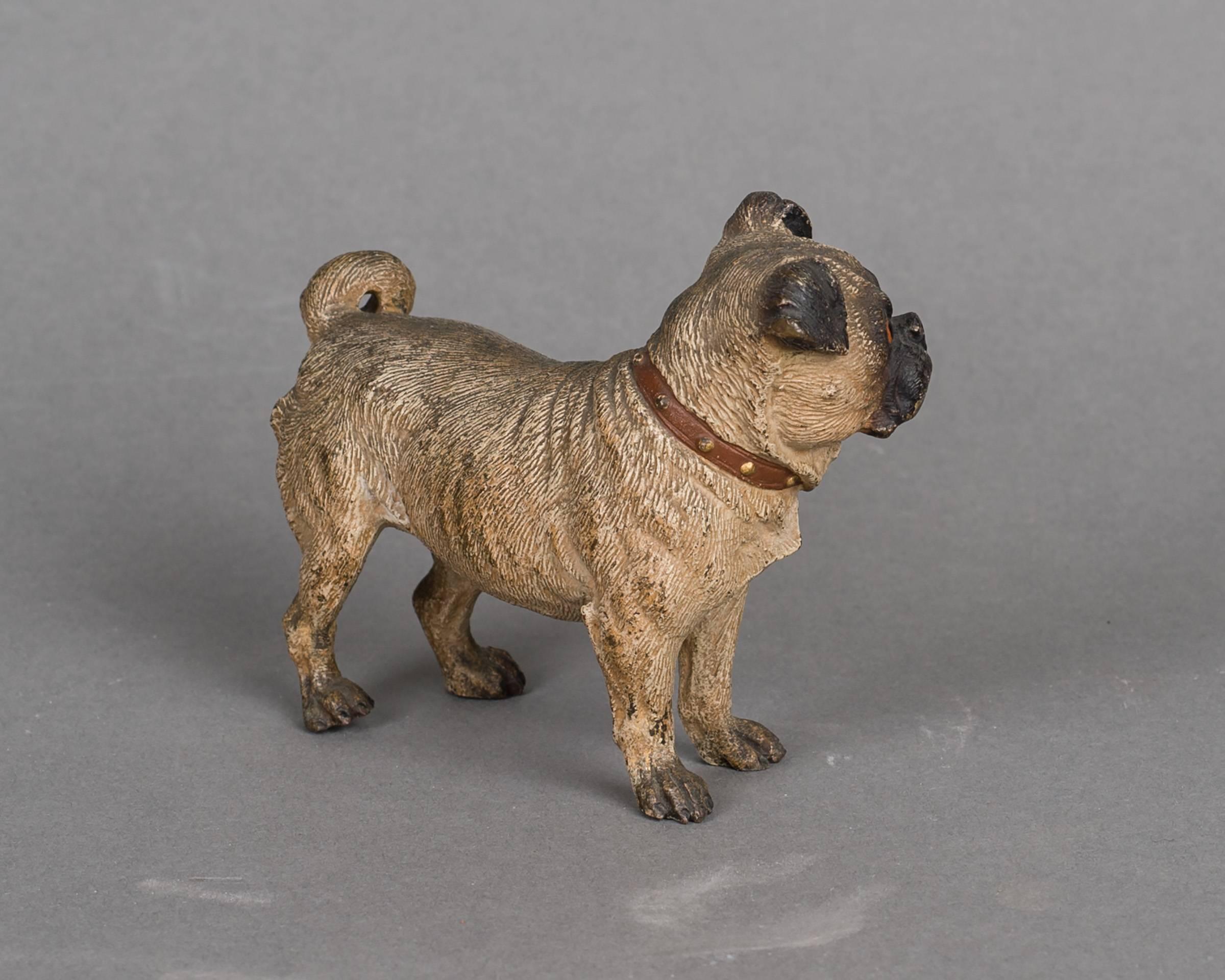 Austrian Beautiful Vienna Cold Painted Bronze of a Pug Dog, circa 1890 For Sale