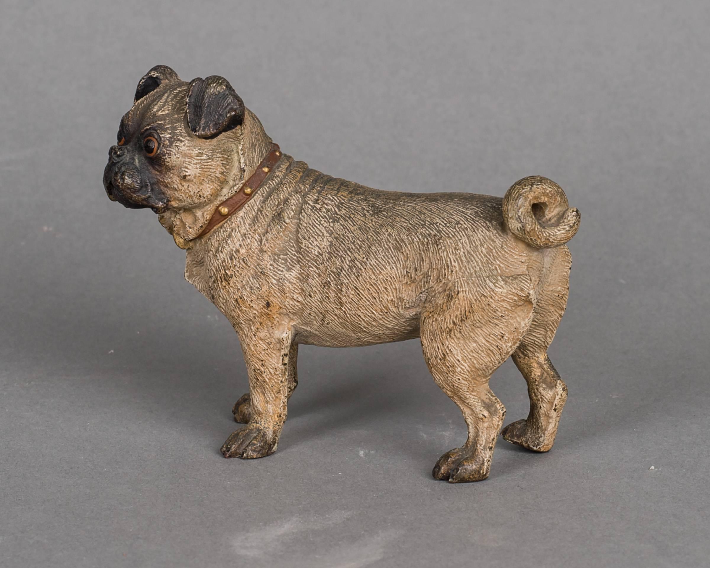 Cold-Painted Beautiful Vienna Cold Painted Bronze of a Pug Dog, circa 1890 For Sale