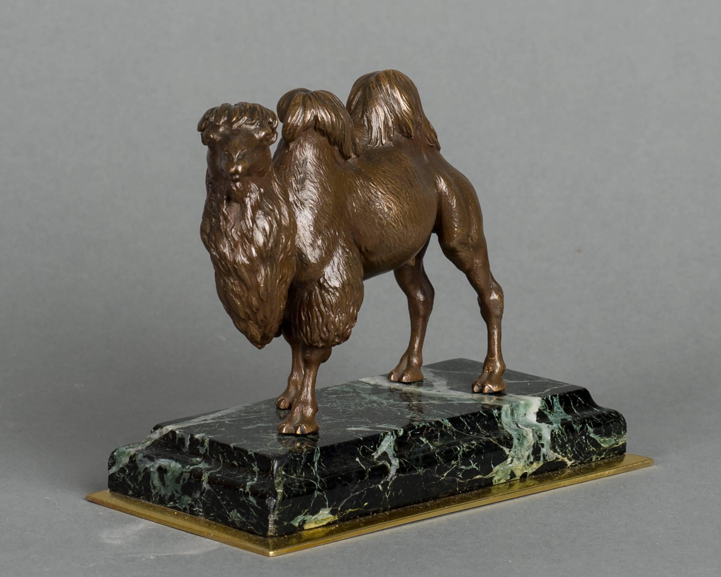 An unusual, lovely patinated camel bronze-mounted on the green marble base with bronze plinth.

Camel is quite rare and collectible as an art subject (probably Charles X or later), might be 1860.