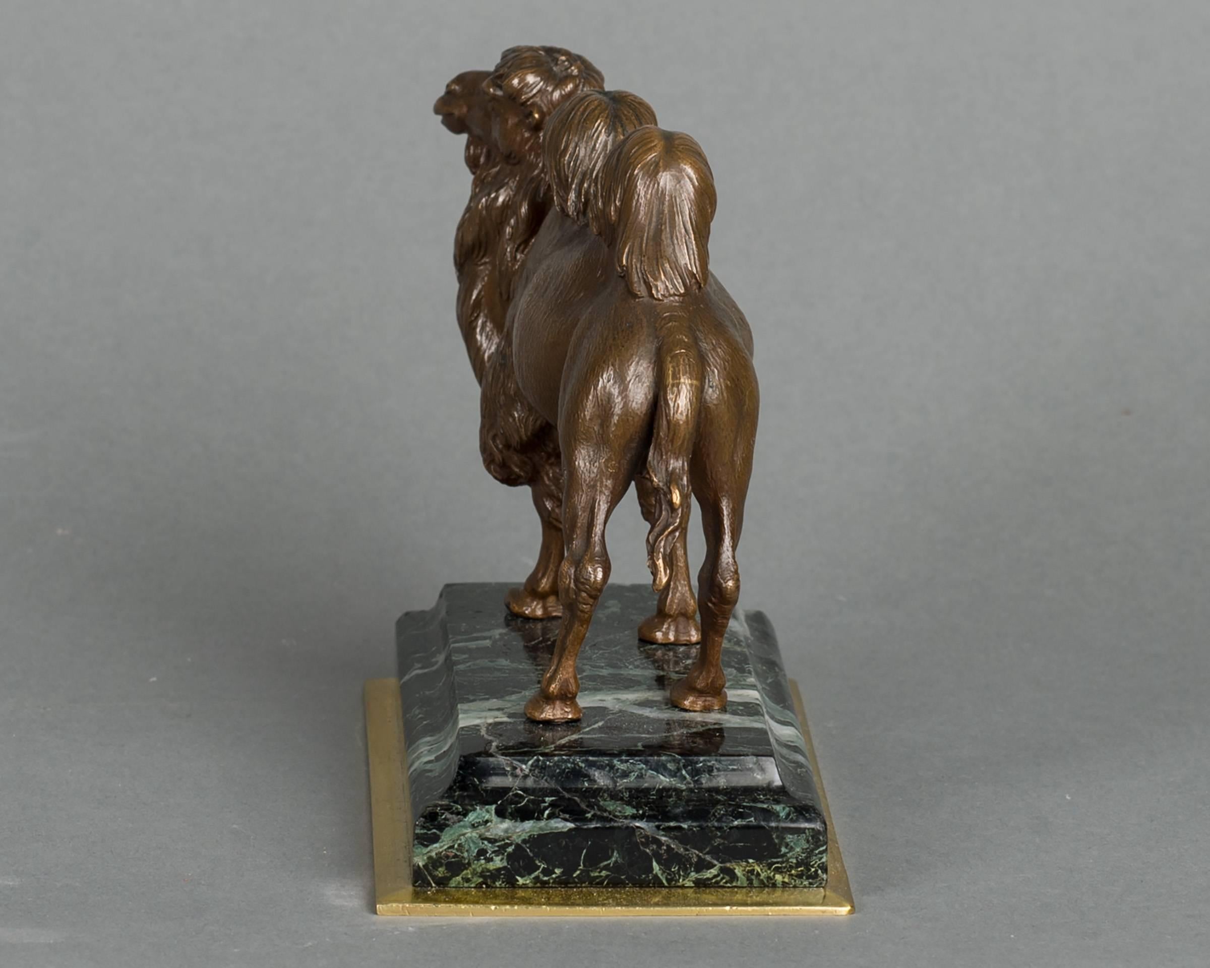 19th Century Unusual French Camel Bronze, circa 1860 For Sale