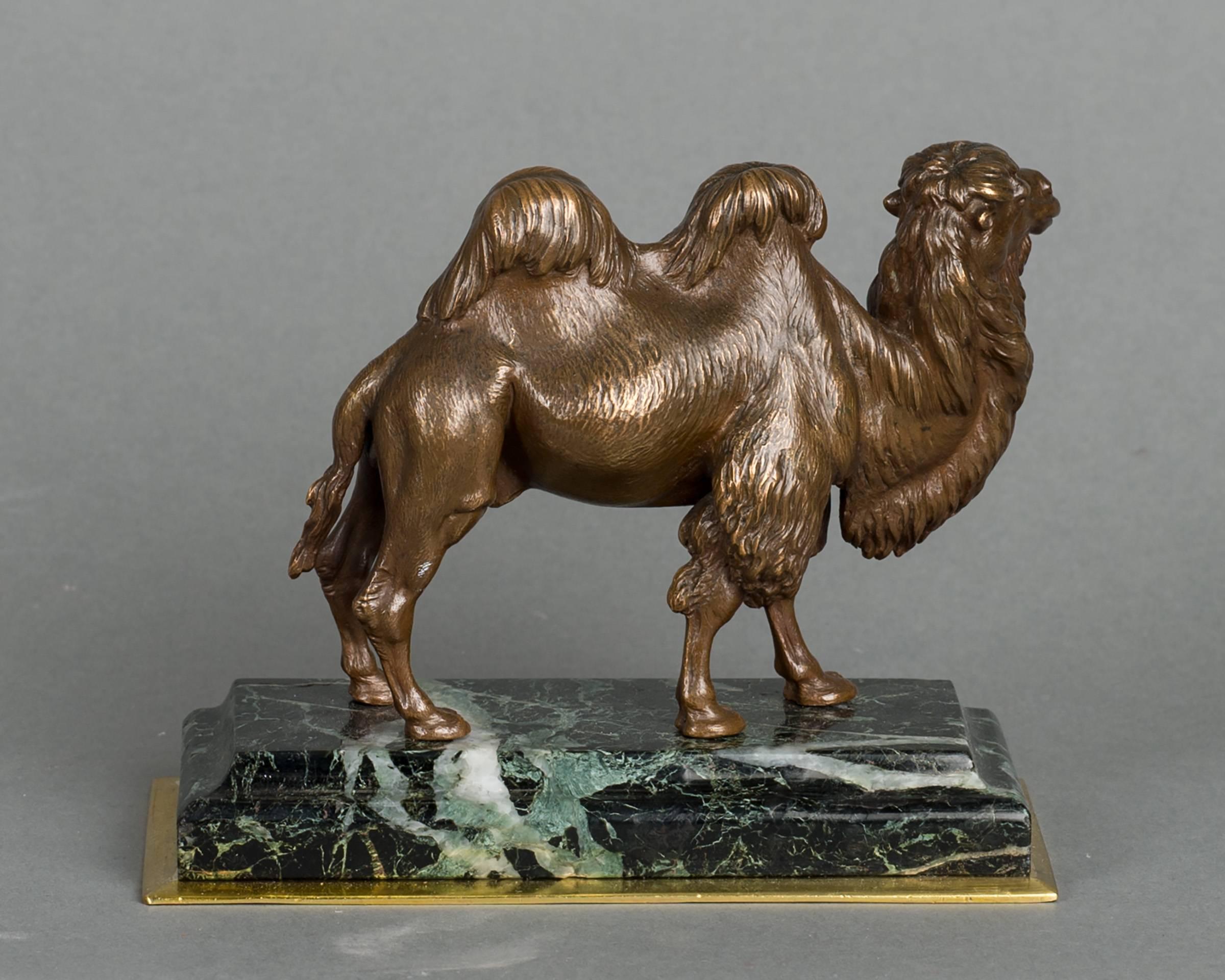 Unusual French Camel Bronze, circa 1860 In Good Condition For Sale In Amsterdam, Noord Holland