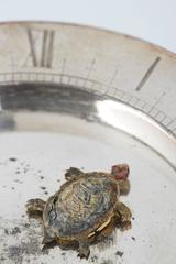 "CA", France, Movement, Rare French Table Clock with Arcane Time Display