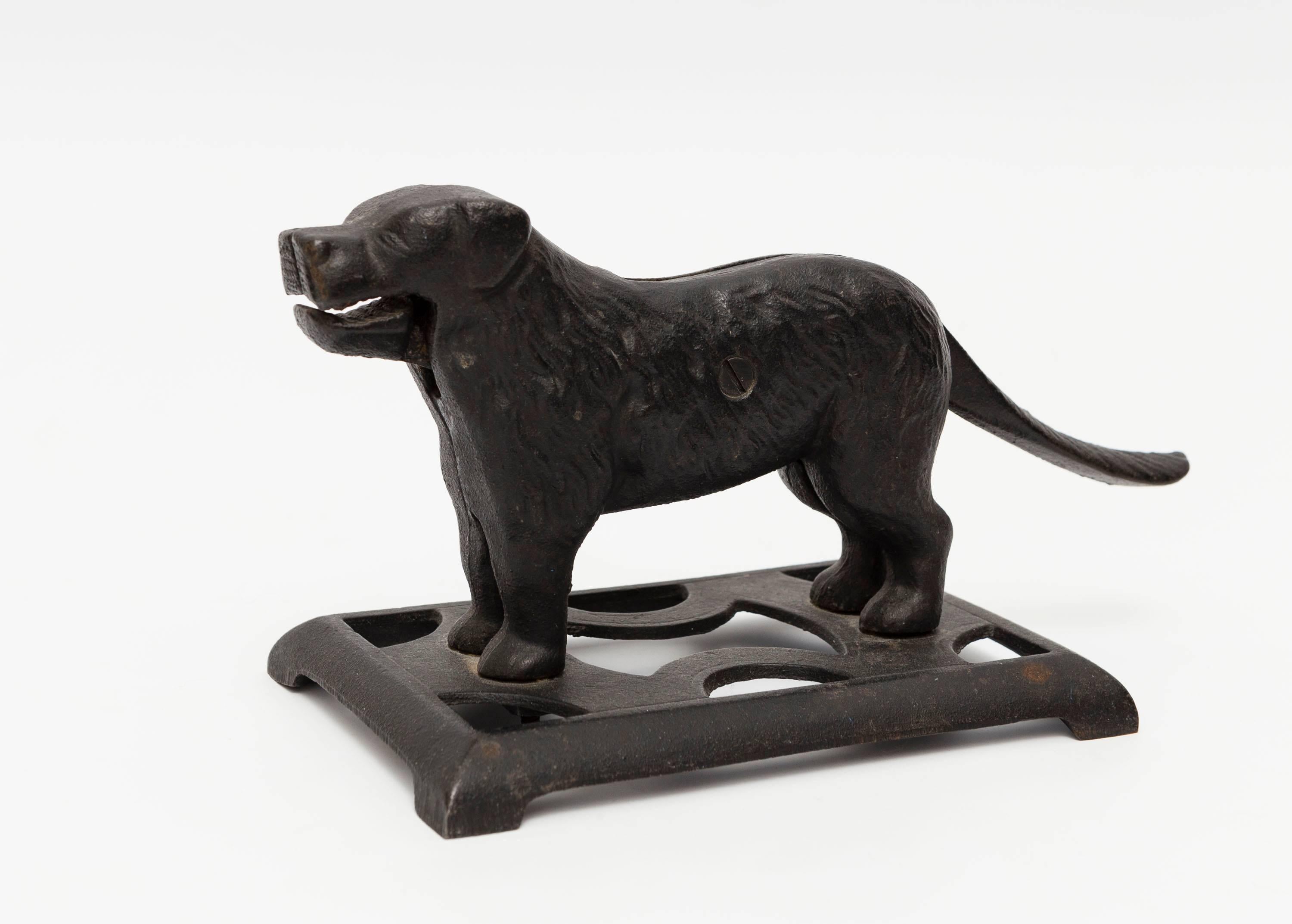 American 19th Century Cast Iron Dog Nutcracker