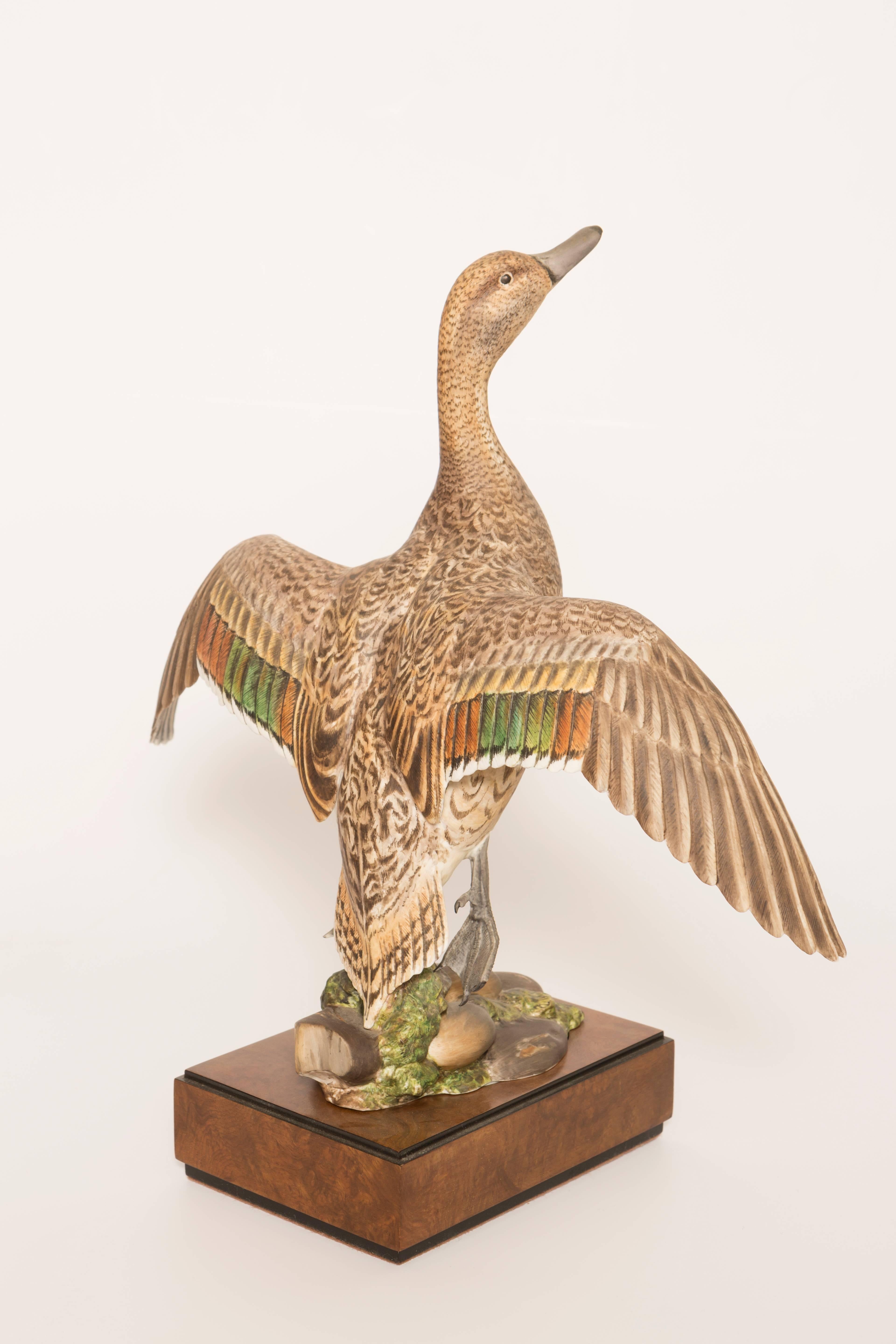 Royal Worcester model of a American pintail male and female modelled by R. Van Ruyckevelt. Produced in a limited edition of 500 copies. This model is number 60. Ronald Van Ruyckevelt was born in Surrey, England in 1928. The introduction of the Game