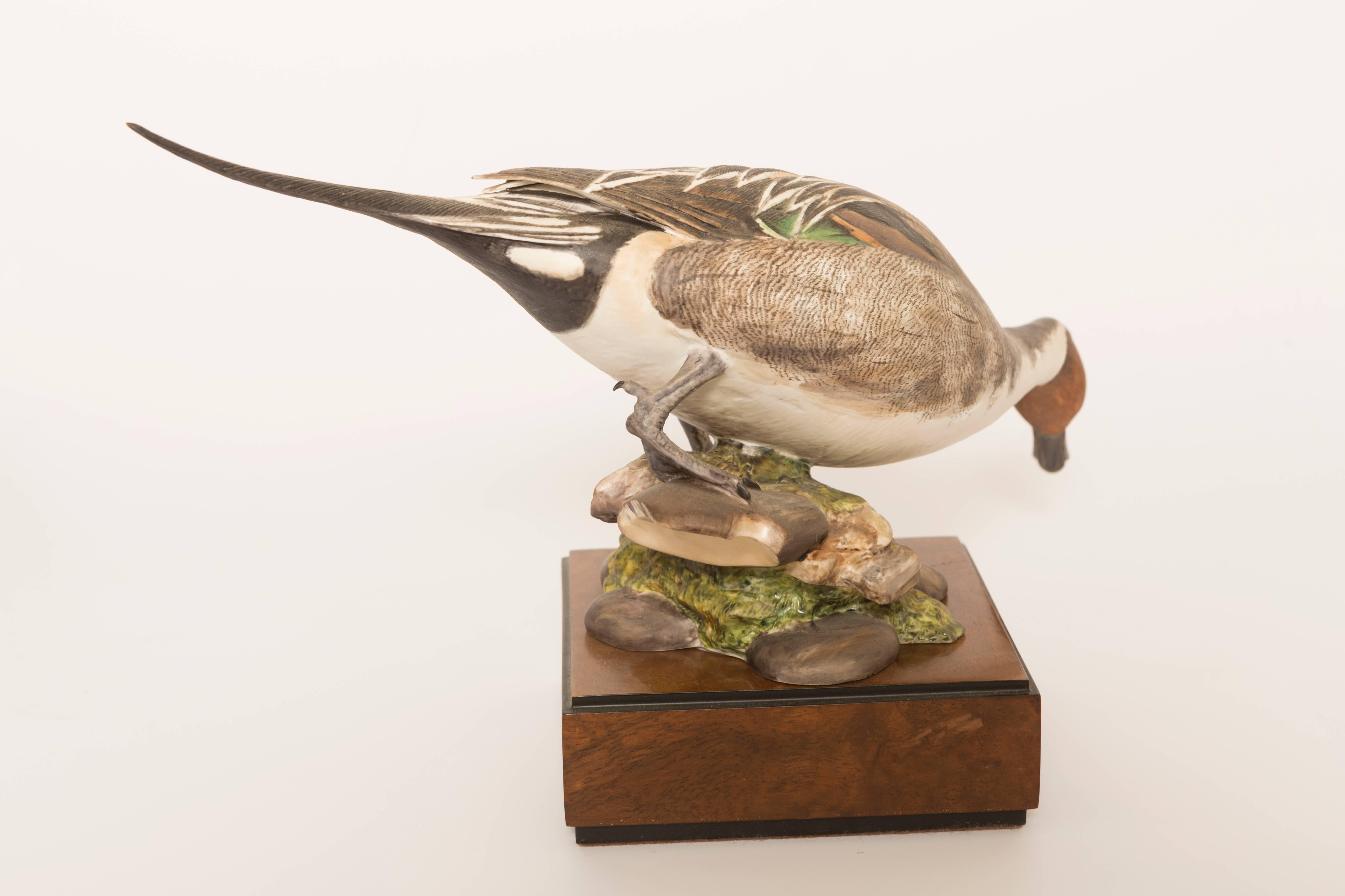 20th Century Pair of Royal Worcester Game Bird Series of the American Pintail For Sale