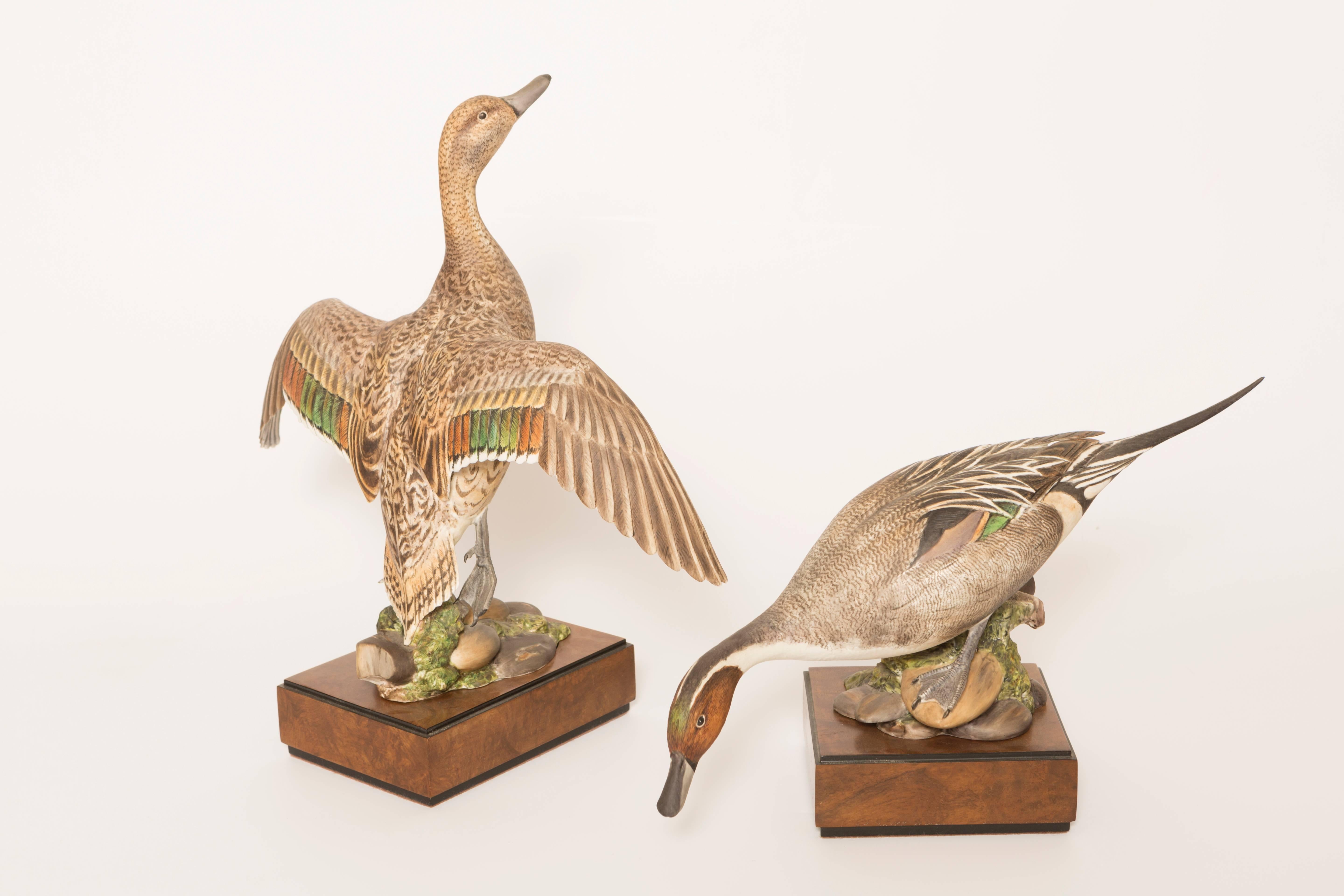 Pair of Royal Worcester Game Bird Series of the American Pintail For Sale 4