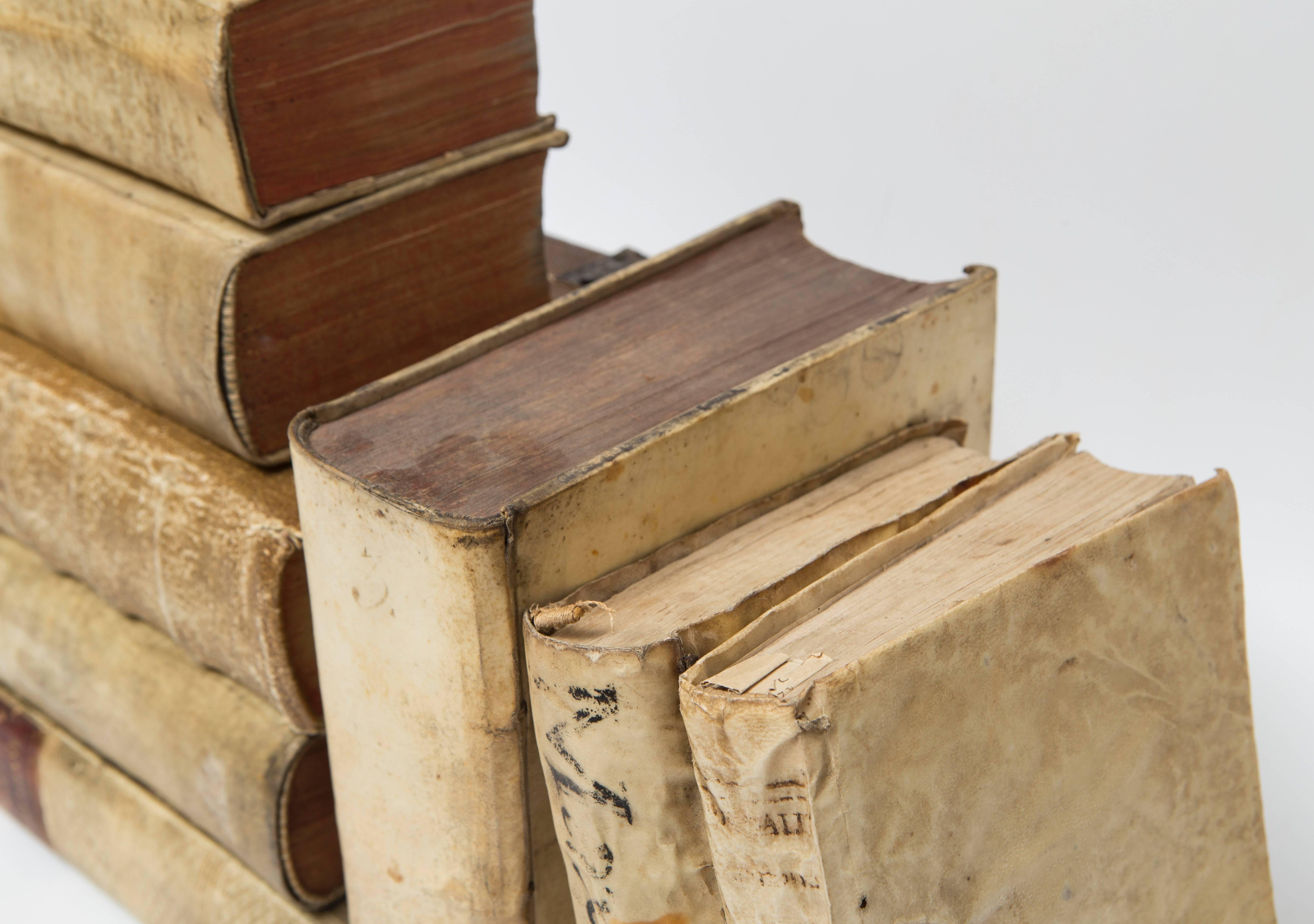 17th-18th Century Collection of Vellum Books 'Ten Books' In Good Condition In Nashville, TN