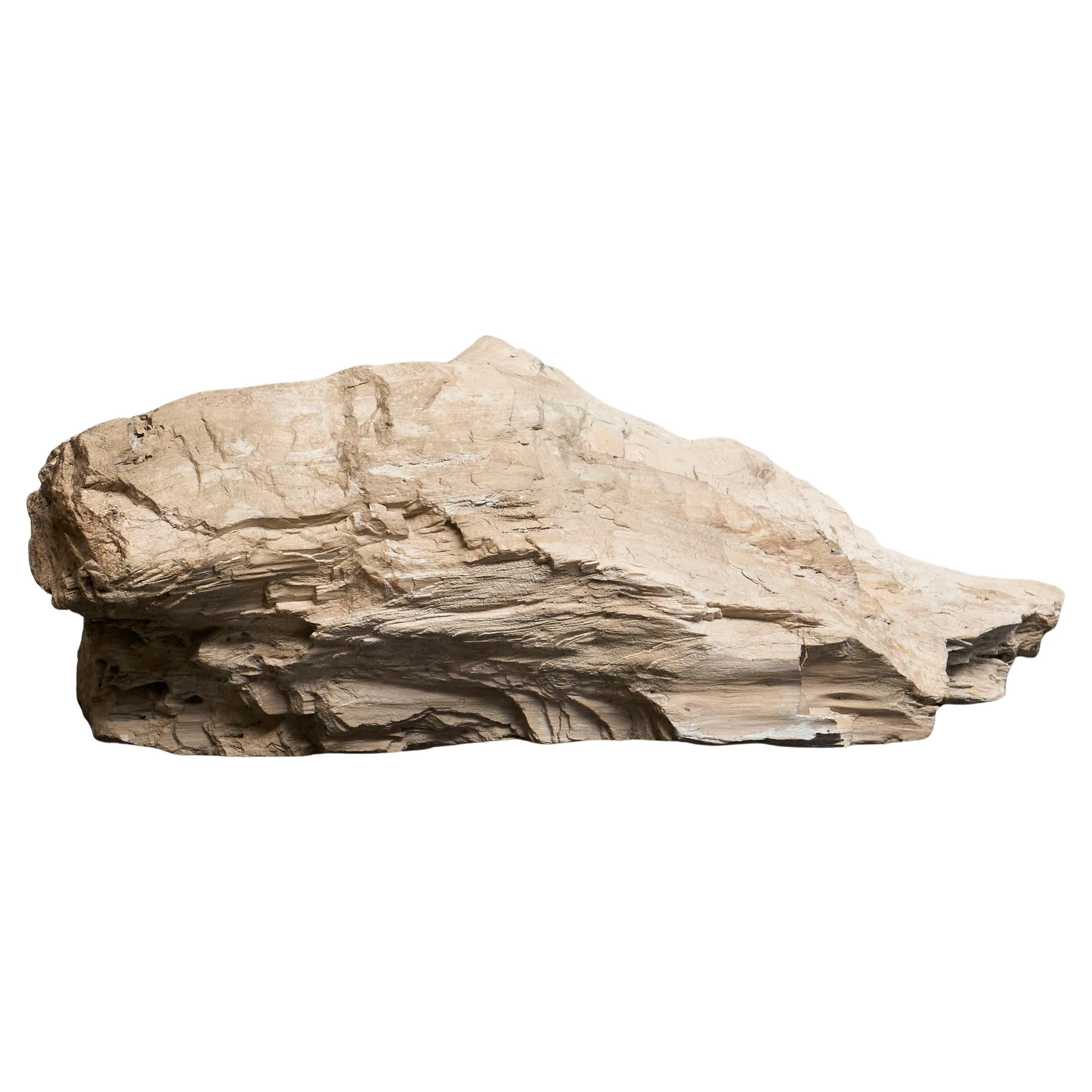 Großes prähistorisches Naturstück aus versteinertem Wood