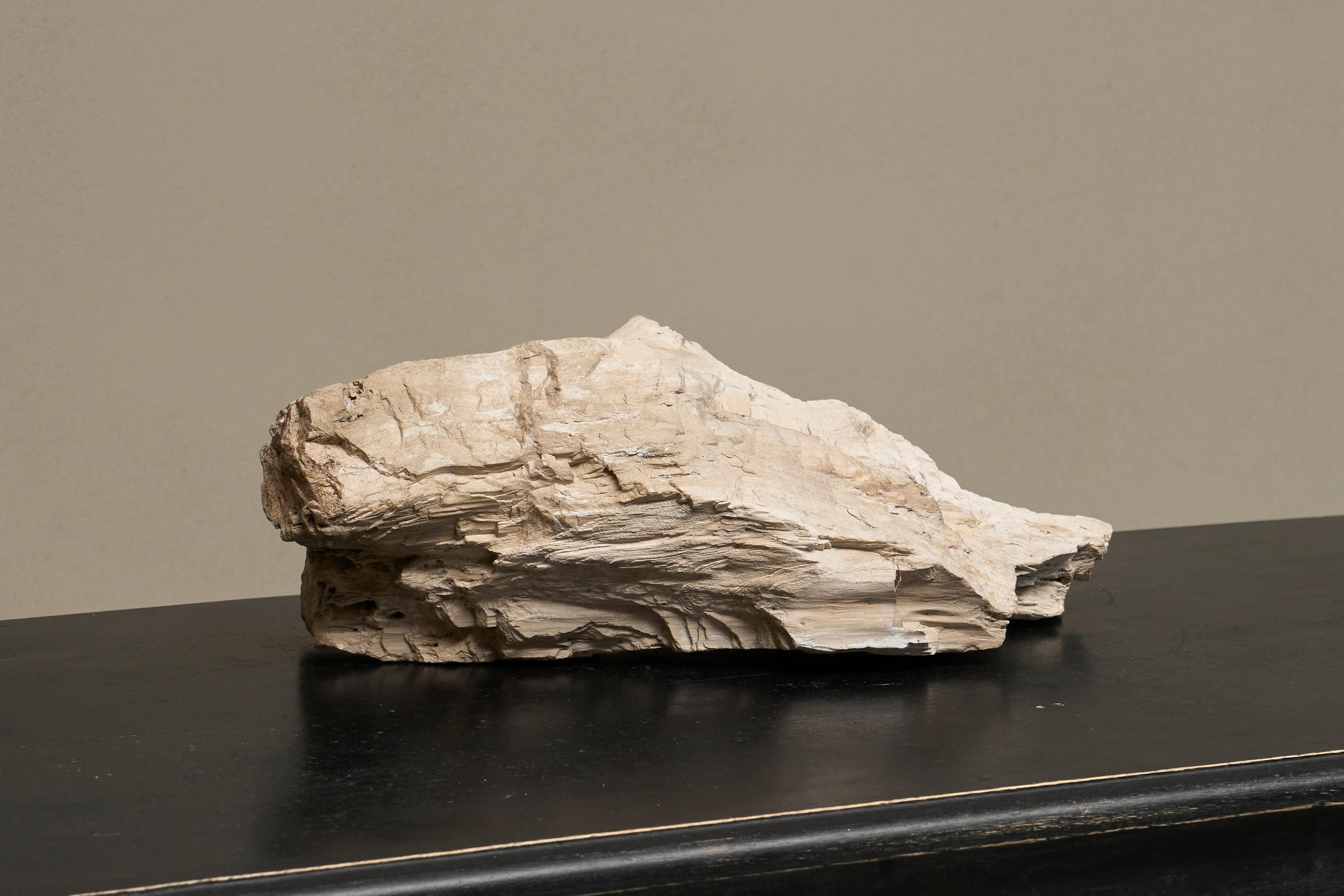 Grande pezzo preistorico Nature di Wood pietrificato

Un pezzo grande e molto decorativo di legno pietrificato preistorico nella sua forma naturale. 

Questo tronco di legno pietrificato ha presumibilmente un'età compresa tra i 10 e i 100 milioni di