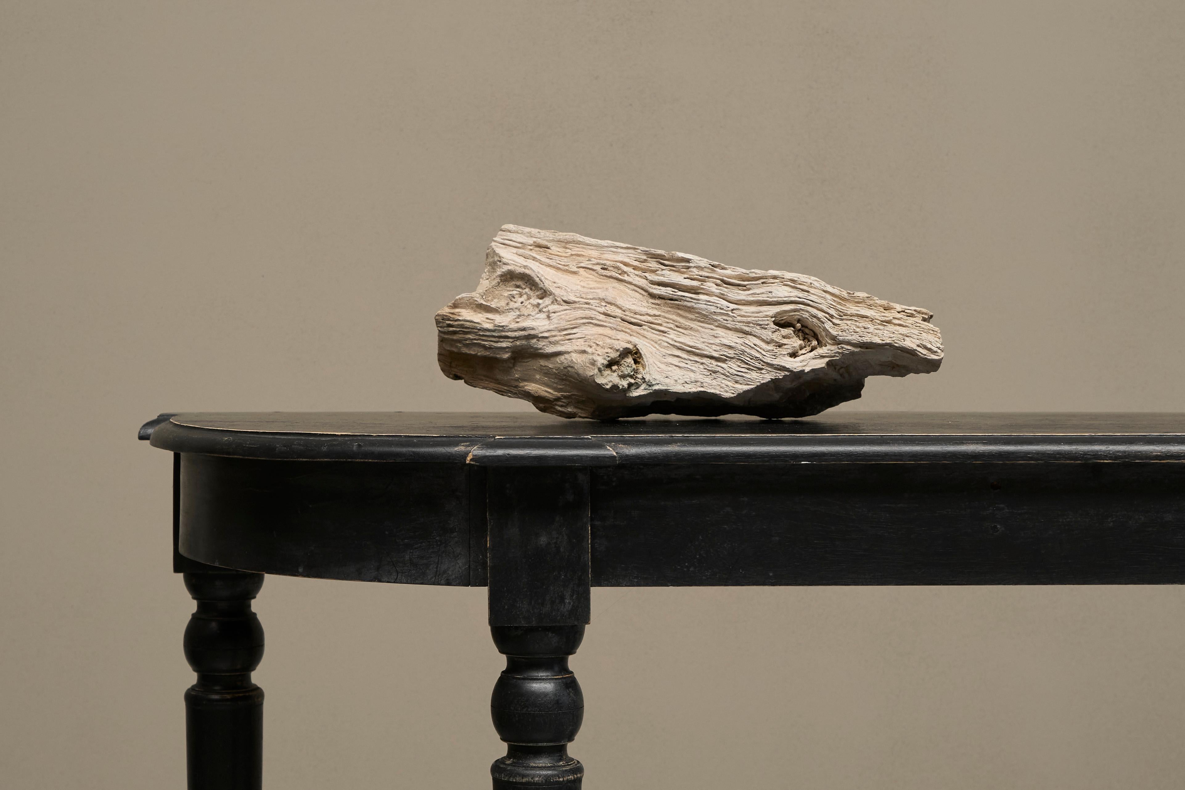 Grande pezzo preistorico Nature di Wood pietrificato in vendita 5