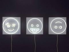 Fresh Faces for Inside Spaces Neon Wall Hanging by Lit, Alice Taranto (: style