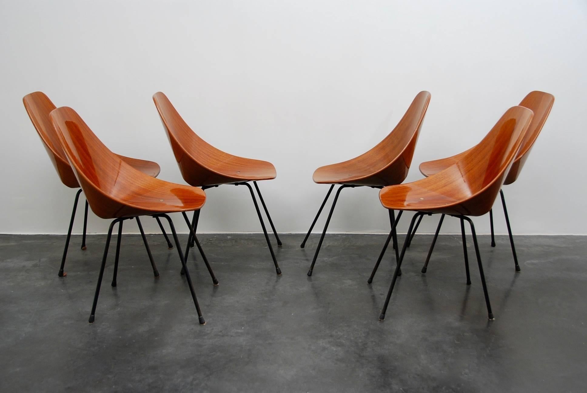 Mid-20th Century Medea Set of Chairs by Vittorio Nobili For Sale