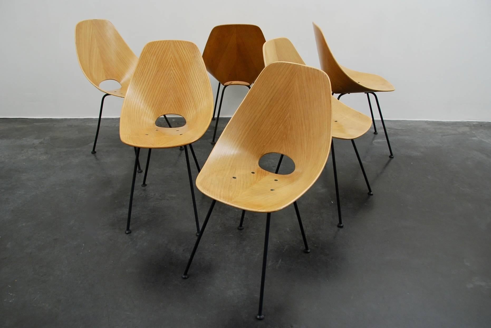 Very nice set of six chairs Medea designed by Vittorio Nobili for Tagliabue, Italy 1950s.