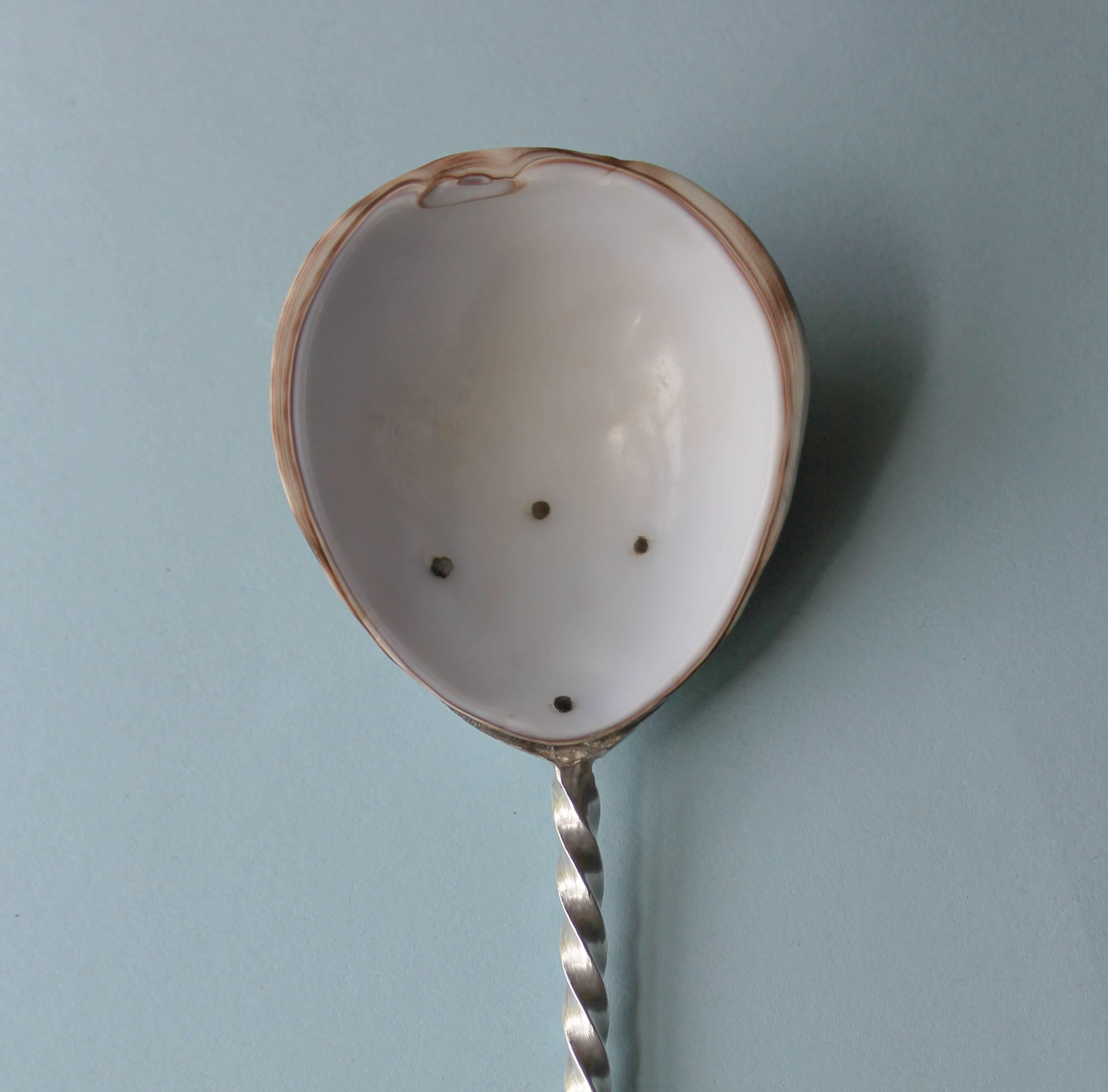 18th Century Latten Spoon with Cowrie Shell Bowl and Silver Handle In Excellent Condition In London, GB