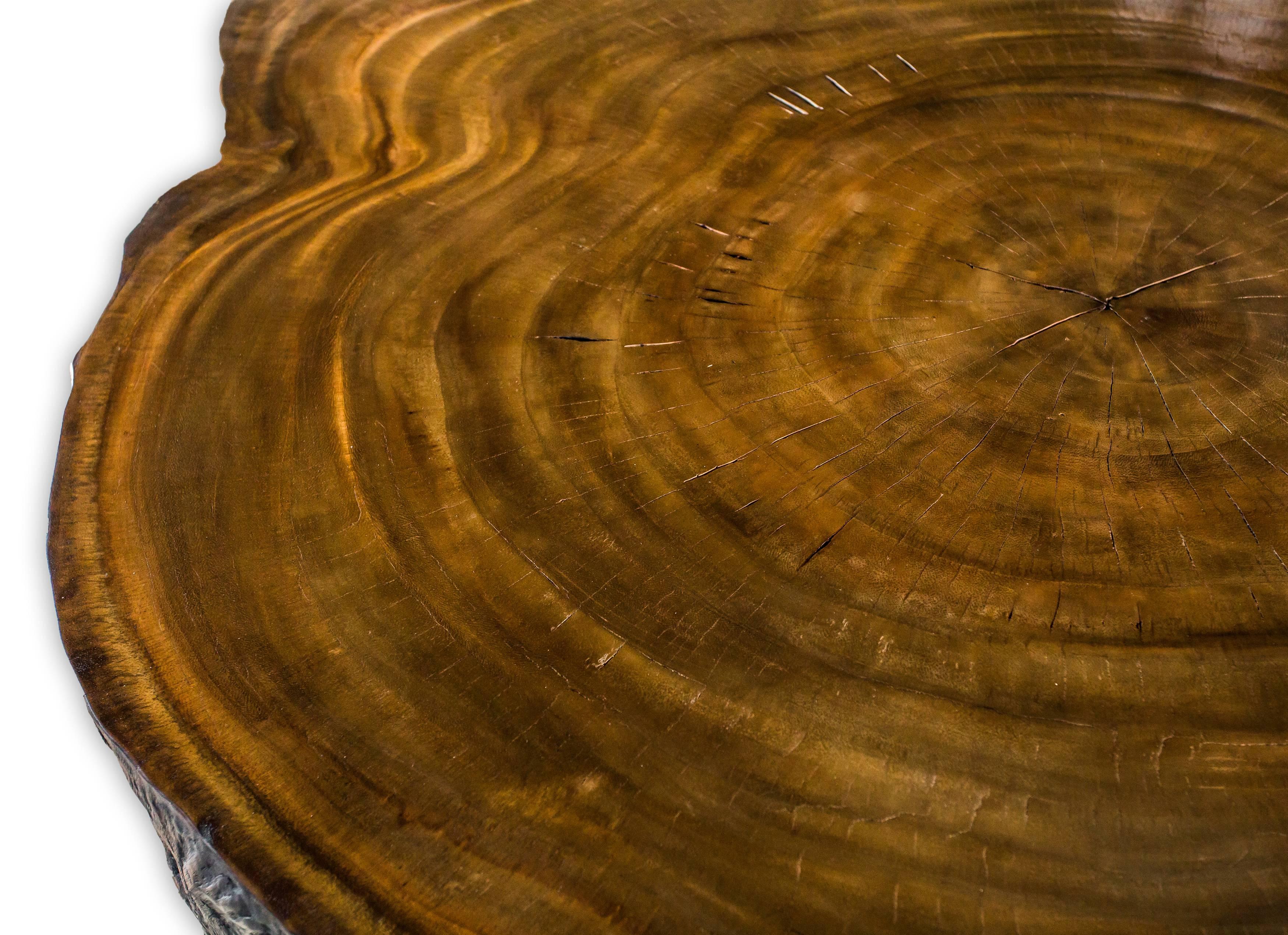 Pair of round burnt and natural coffee table.