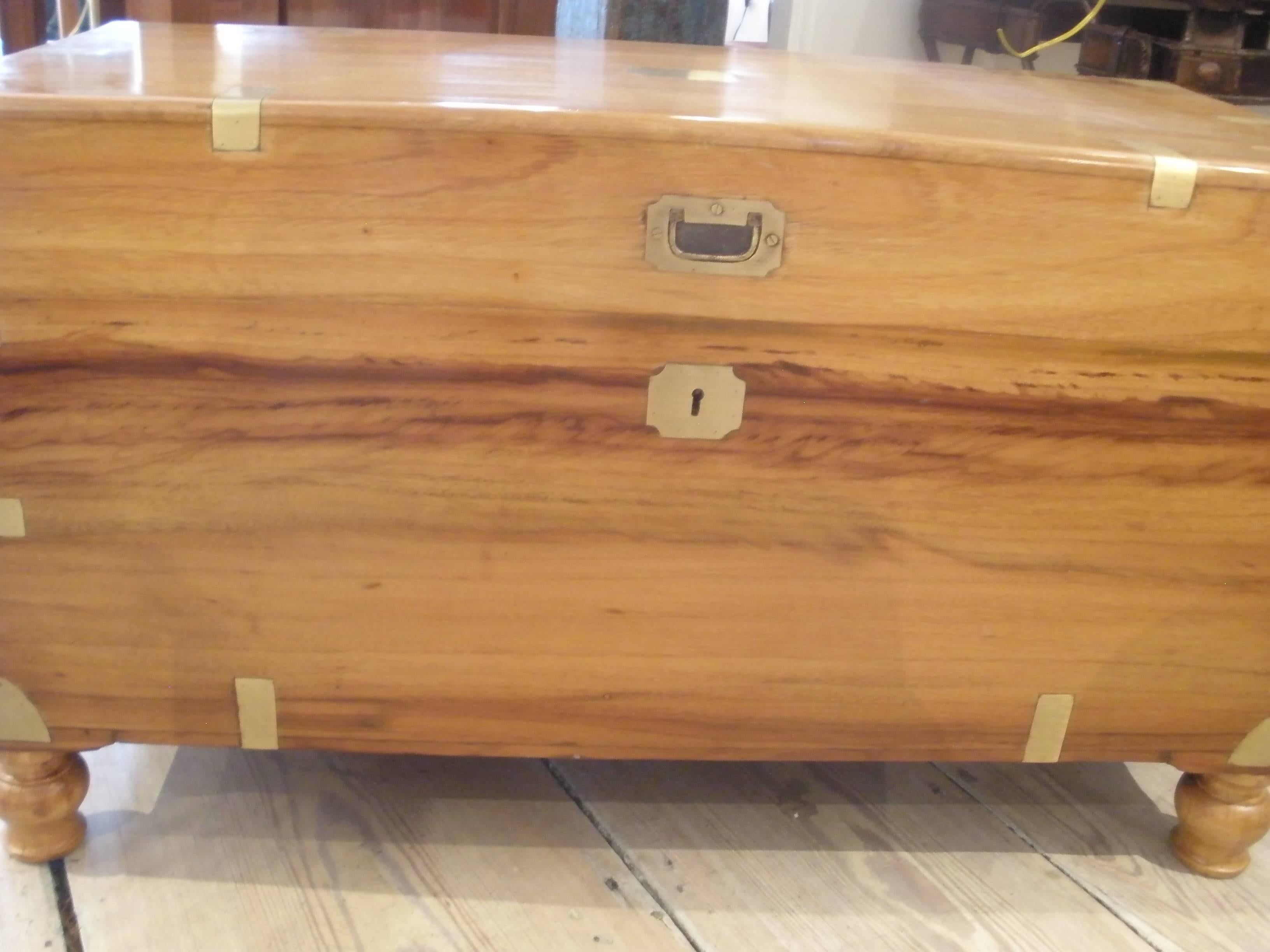 Late 19th Century British Campaign Camphor Wood Sea Chest In Excellent Condition In Nantucket, MA