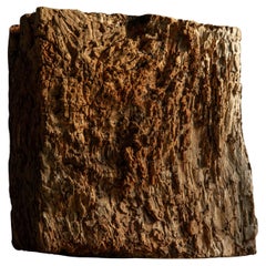 Japanische Keyaki zelkova Holzplatte - wabi sabi Kunstwerk Objekt, Dai Display Stand