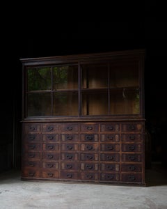 Japanese Antique Two-Tier Apothecary Chest with Glass Cabinet & Drawers 1870s