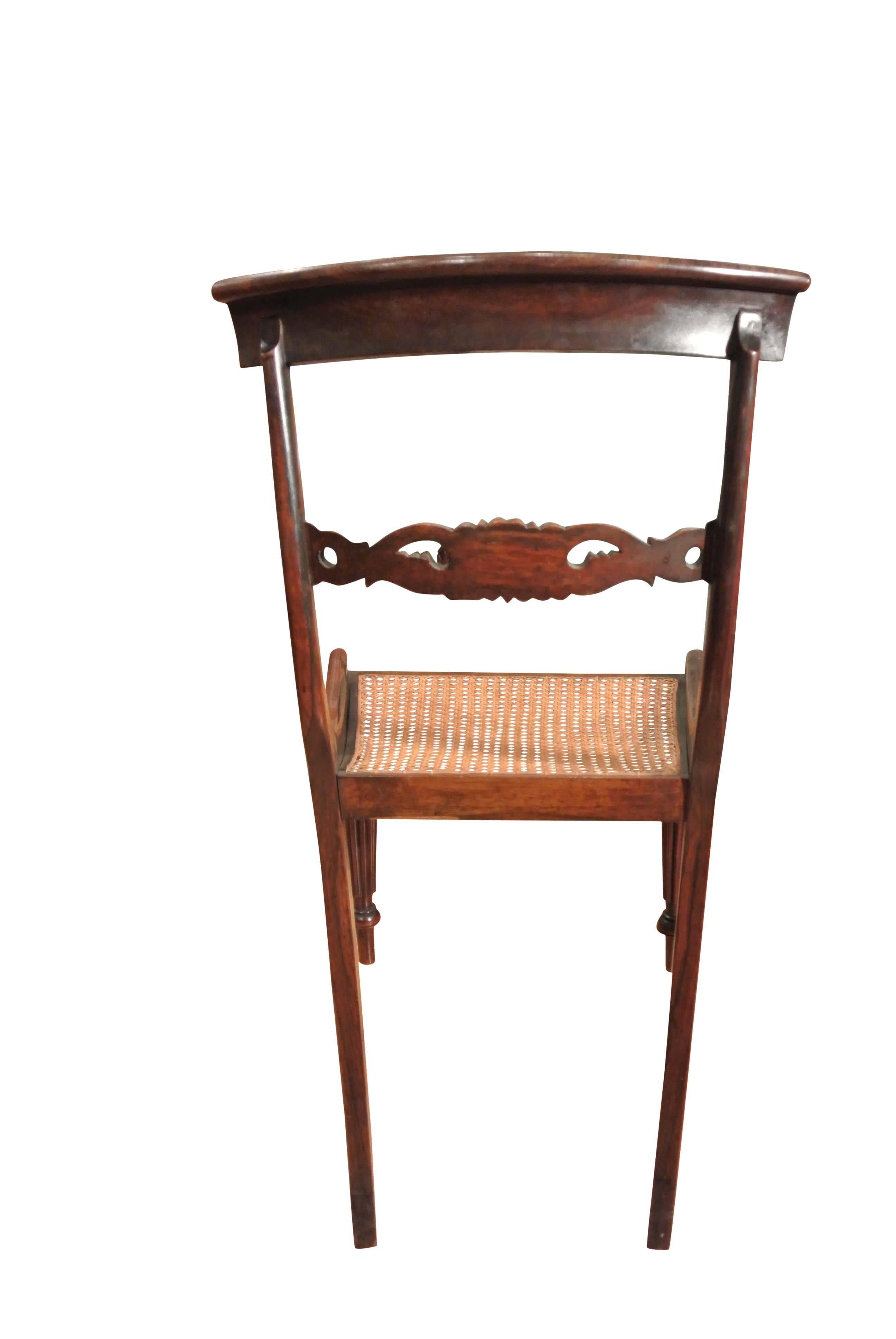 English 19th Century Regency Rosewood Dining Chairs