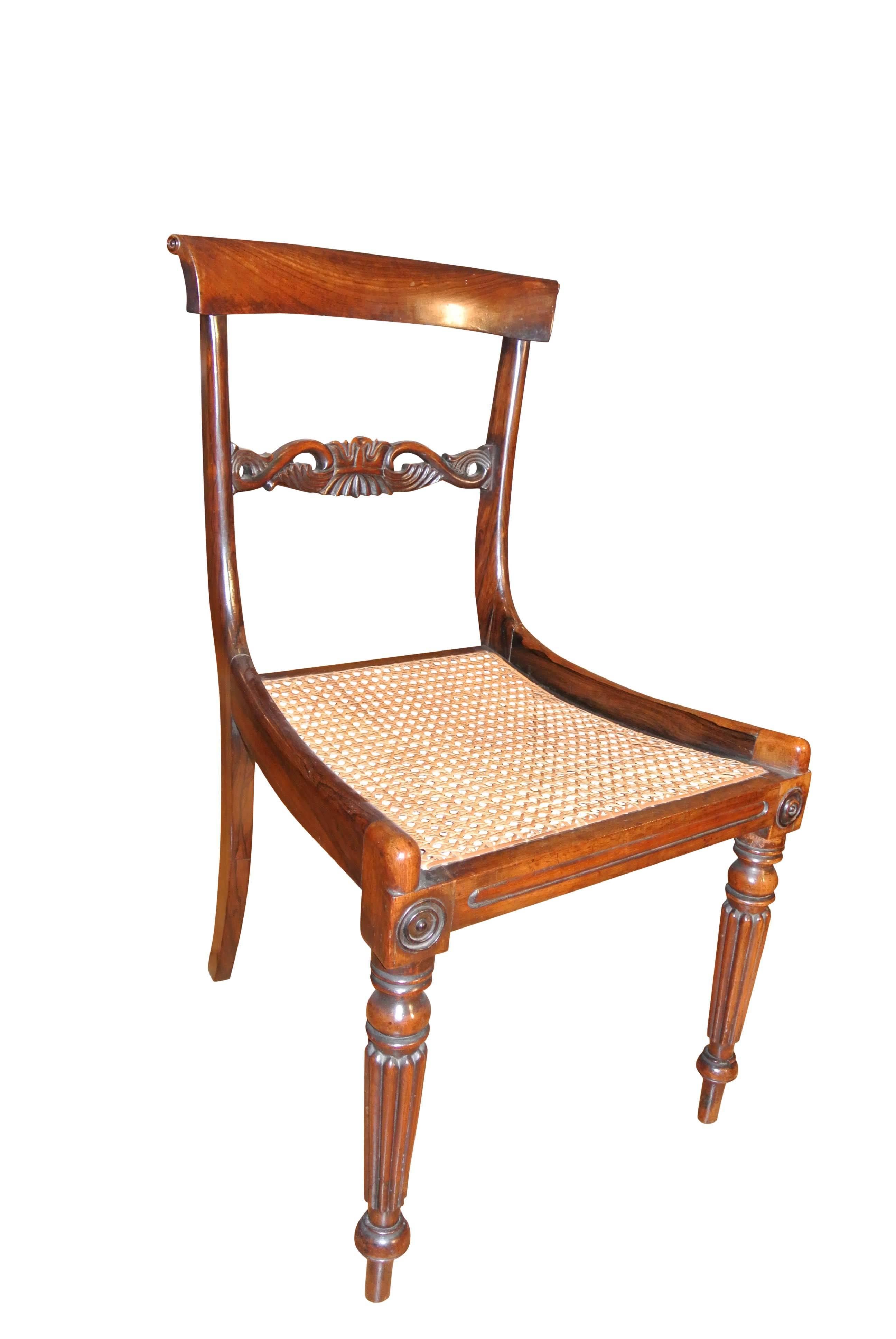 Early 19th Century 19th Century Regency Rosewood Dining Chairs