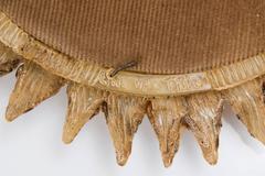 Specchio Line Vautrin "Chardon", anni '60 circa