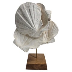 Superbe sculpture naturelle réalisée à partir d'un coquillage fossile de l'espèce Pecten. Sur un support en bois et en laiton