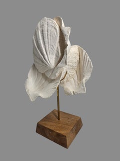 Superbe sculpture naturelle réalisée à partir d'un coquillage fossile de l'espèce Pecten. Sur un support en bois et en laiton