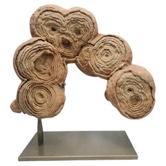 Pseudostromatolite from Morocco "The gorilla walk"