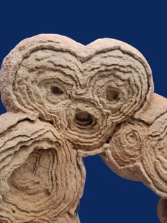 Pseudostromatolite from Morocco "The gorilla walk"
