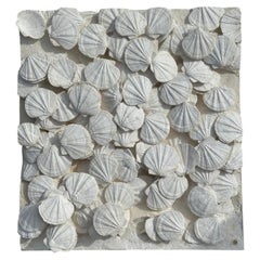 Museum-Quality Fossil Pecten Wall Feature (118 x 110 cm) – Custom Steel Frame
