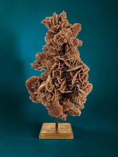 Eccezionale selenite "Desert Rose" su base personalizzata in legno e acciaio dorati