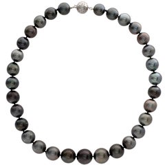 South Sea Black Pearl Necklace with White Gold Clasp