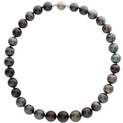 South Sea Black Pearl Necklace 5