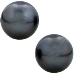 Tahitian Pearl Stud Earrings Tahitian Pearl Stud Earrings