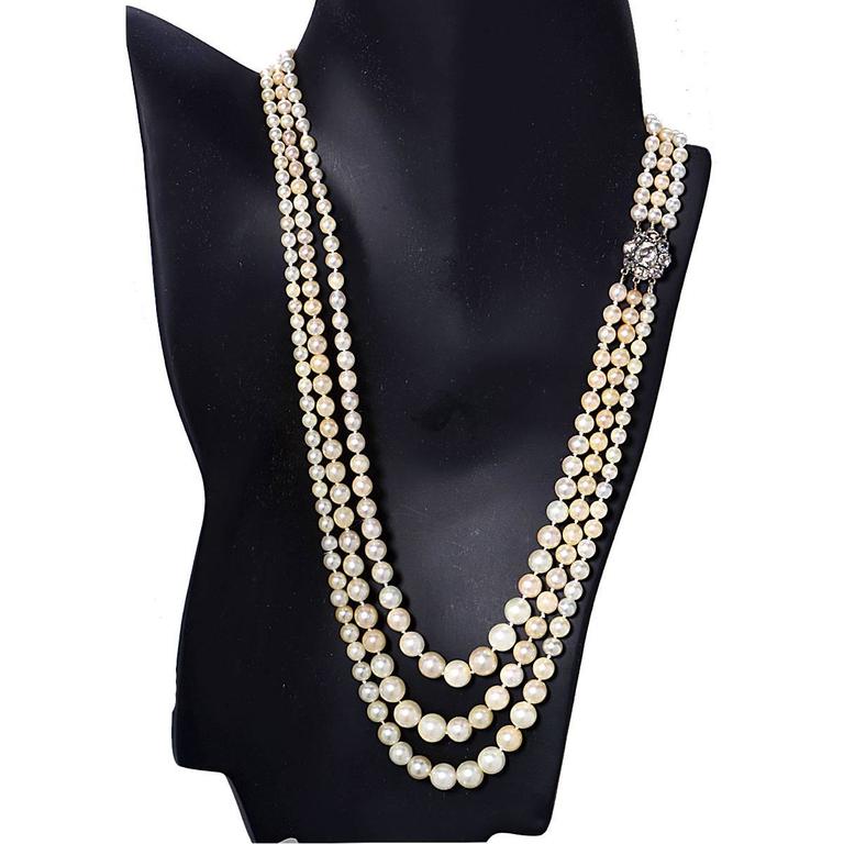 7 Strand Pearl Necklace with Diamond Gold Clasp at 1stDibs