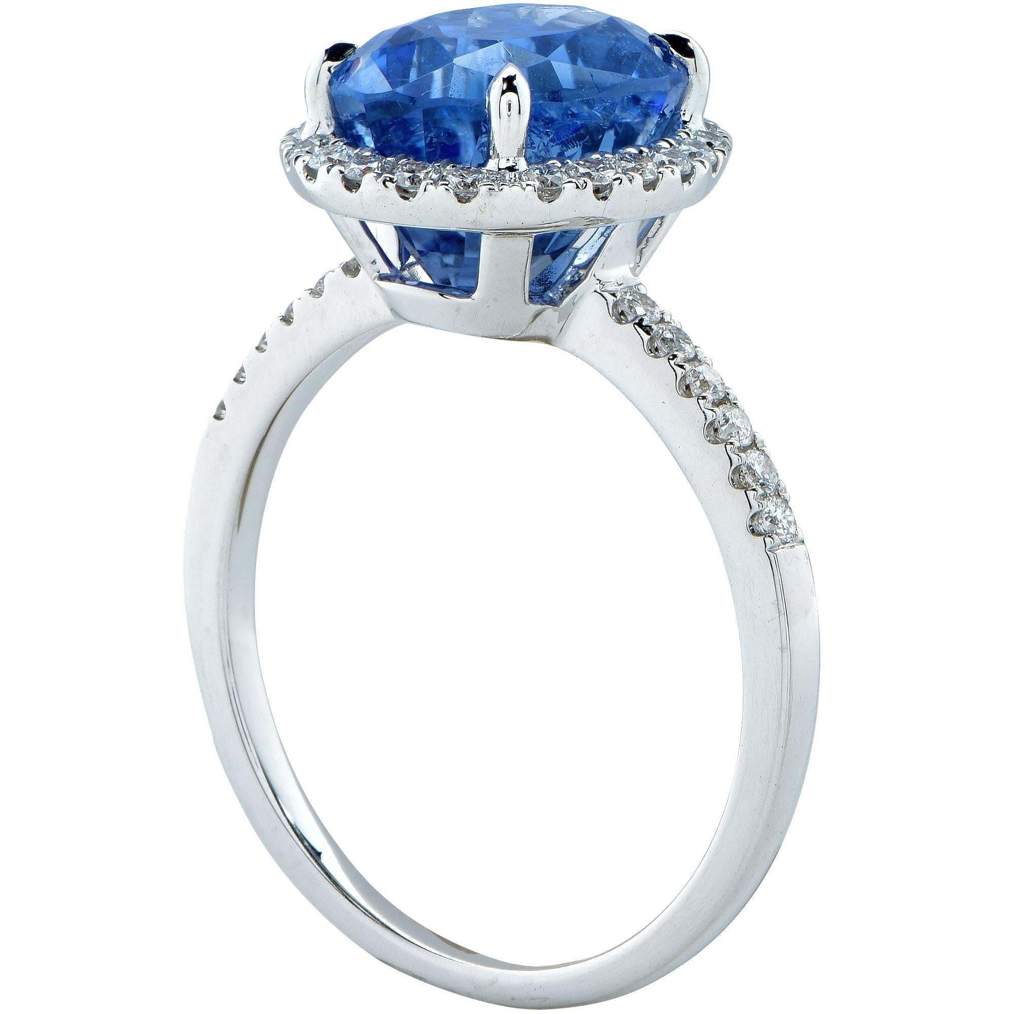 Gorgeous 18k white gold ring spotlighting a GIA graded oval cut no heat blue sapphire weighing 5.03cts surrounded by 30 round brilliant cut diamonds weighing approximately .30cts total G color VS-SI clarity.

The ring is a size 6 and can be sized up